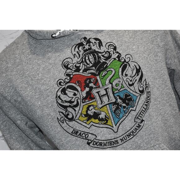 Wizarding World Harry Potter Slytherin Draco Hoodie Mens Size XL Gray - Picture 3 of 5